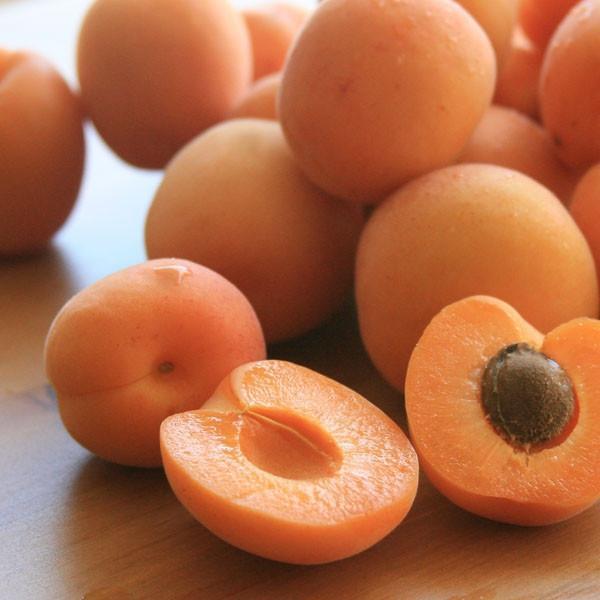 Apricots